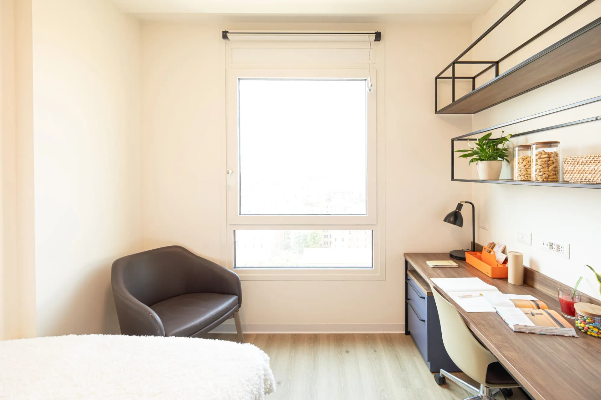 Smart Studio High en Bologna 5