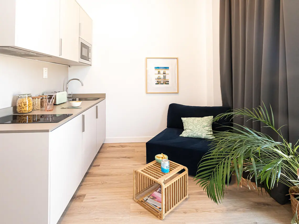 Single with Plus Kitchen and Balcony in Seville 4