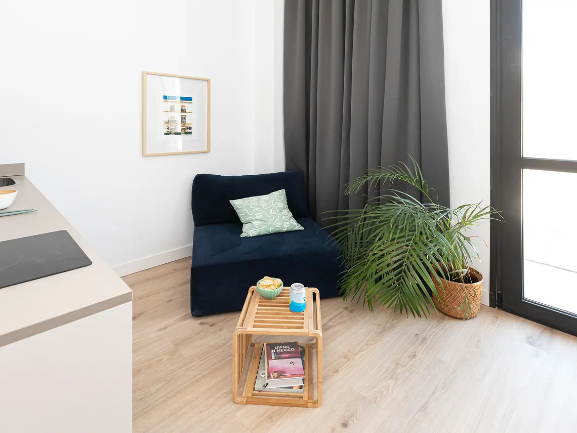 Single with Plus Kitchen and Terrace in Seville 2