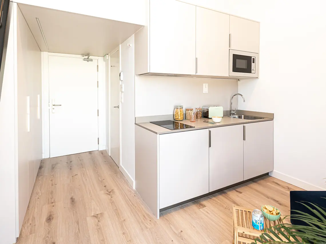Single with Plus Kitchen and Terrace in Seville 4